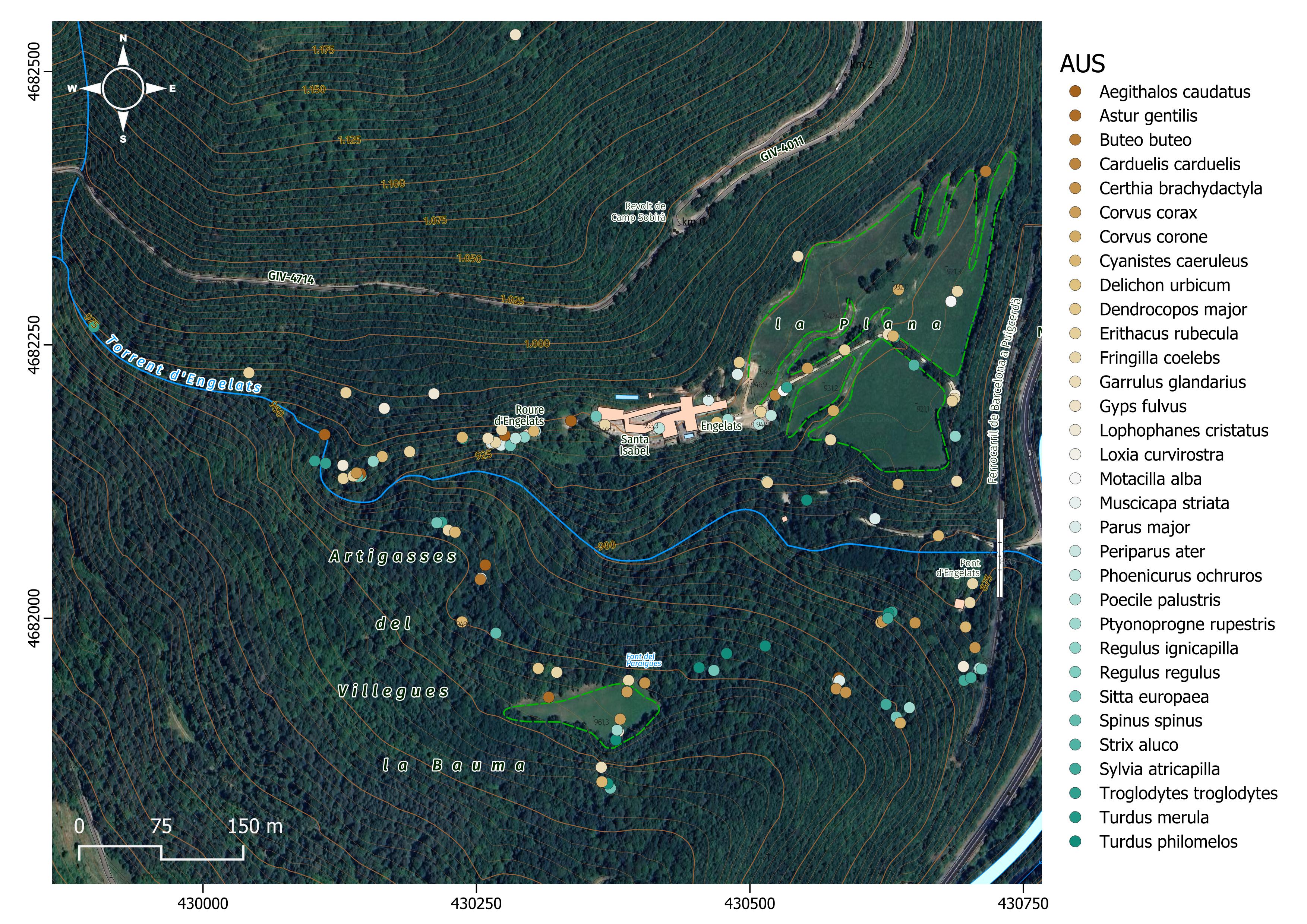 Mapa de las aves de Angelats