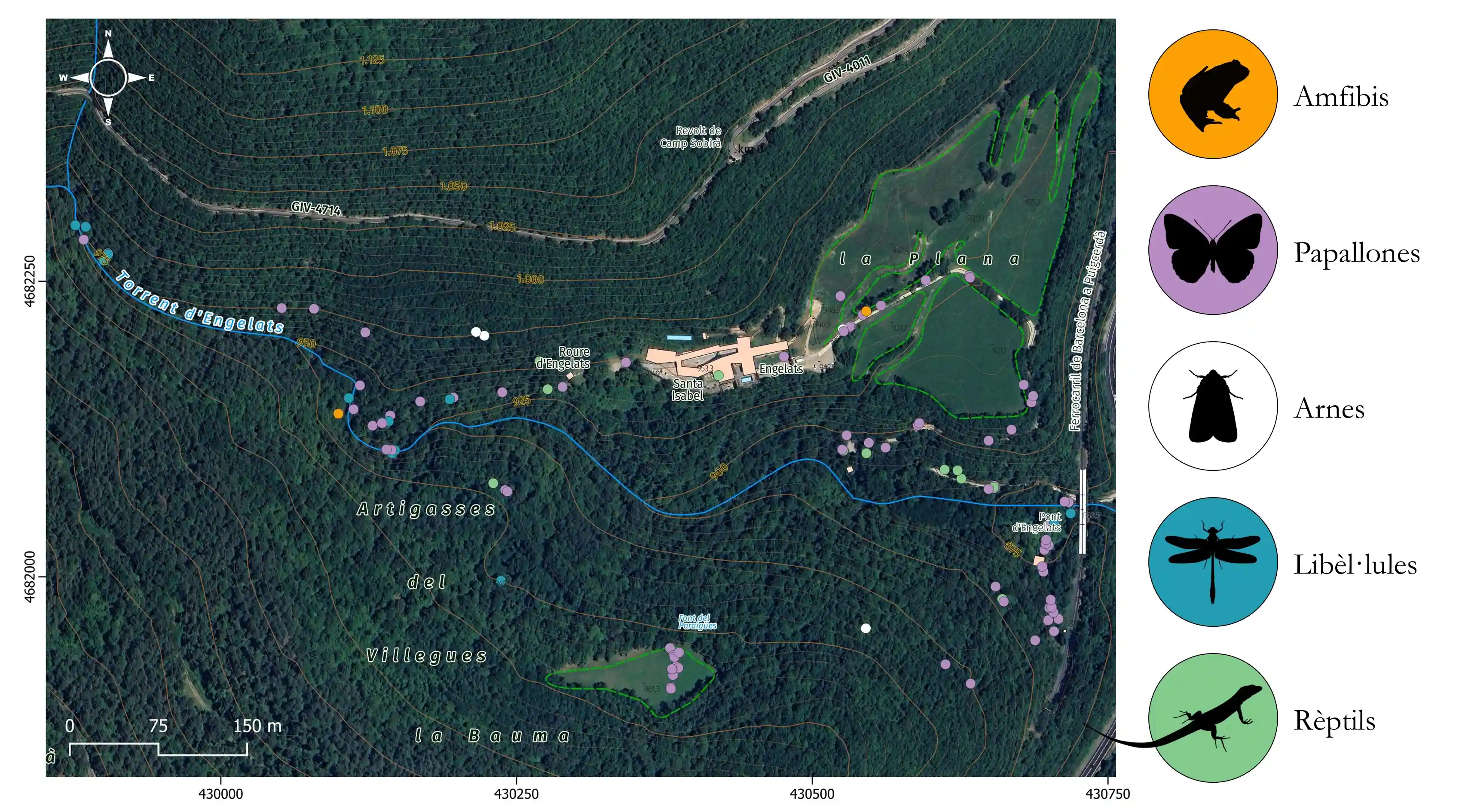 Mapa de la biodiversidad de Angelats